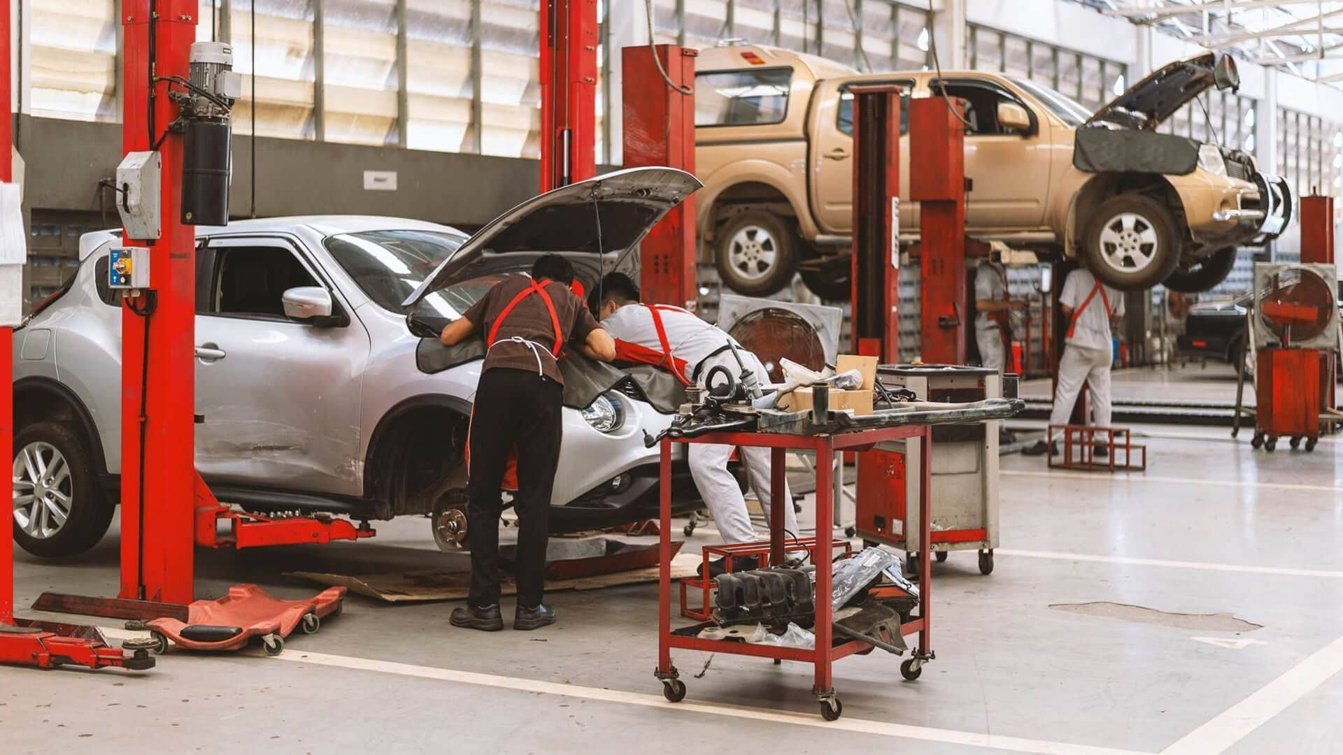  REAL PRO AUTO SERVICE, INC  . OVERVIEW